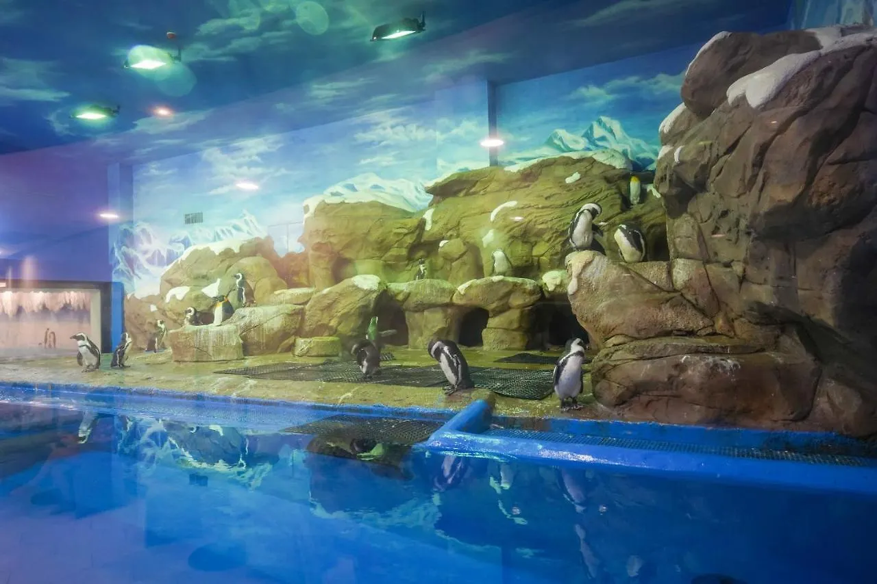 Beluga Sanya Discovery Ocean World Hotel Cina