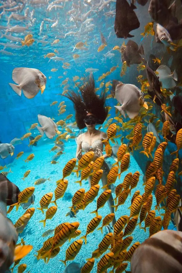 Beluga Sanya Discovery Ocean World Otel