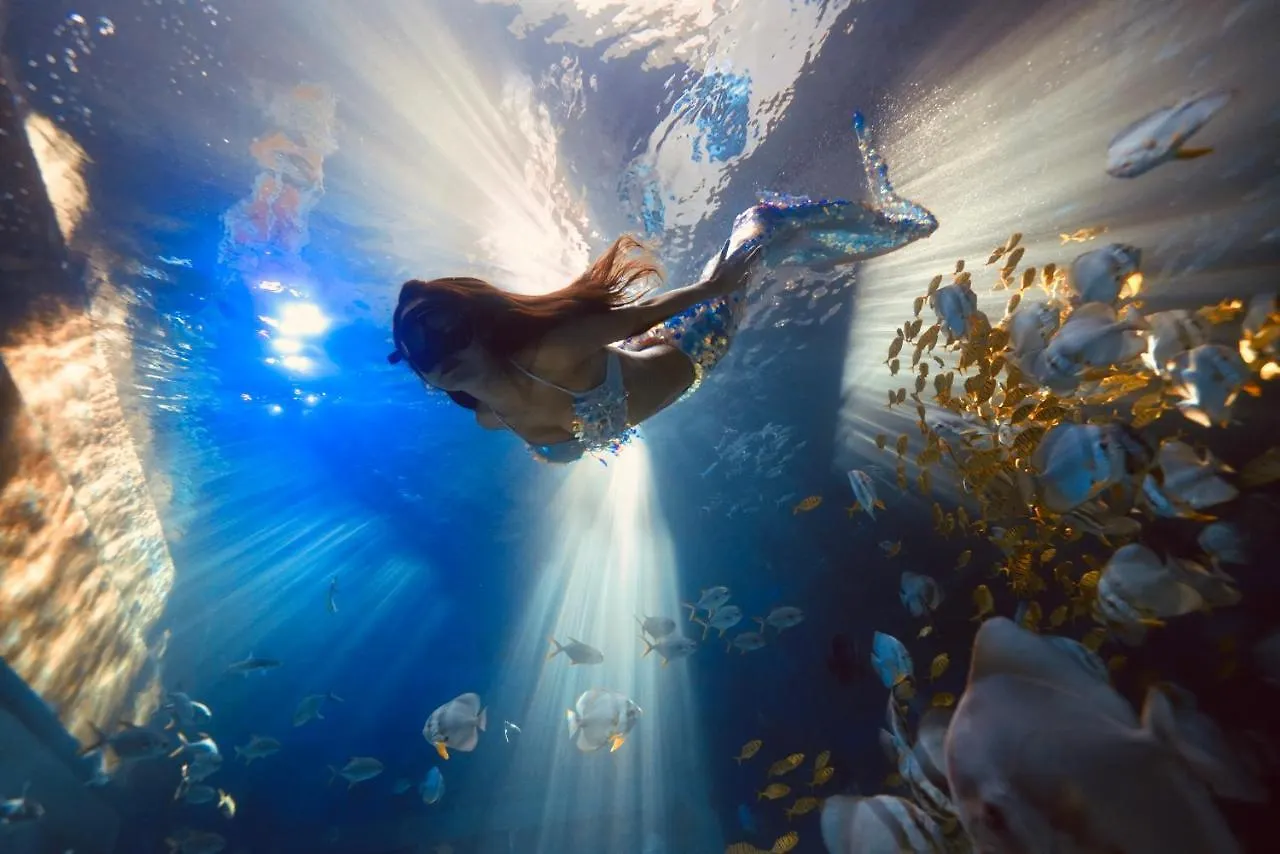 Beluga Sanya Discovery Ocean World Otel Çin
